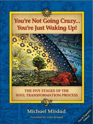 cover image of You're Not Going Crazy . . . You're Just Waking Up!